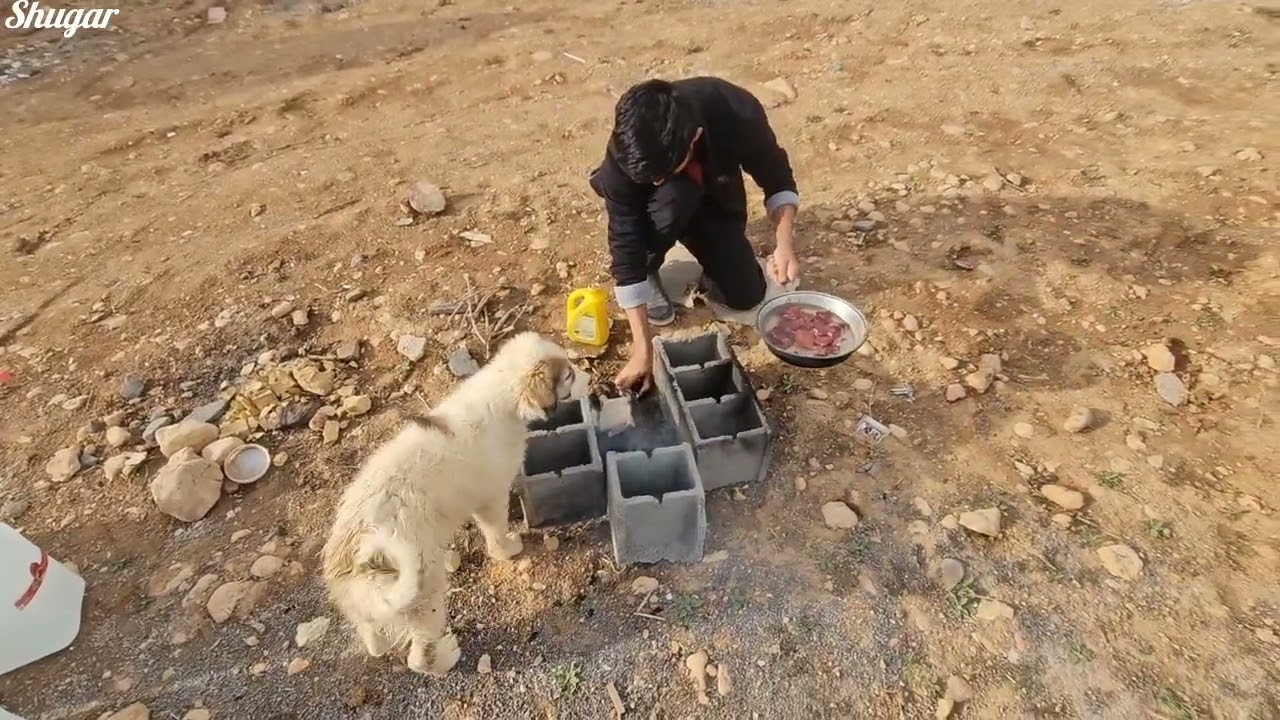 ۱۵ مارس ۲۰۲۶