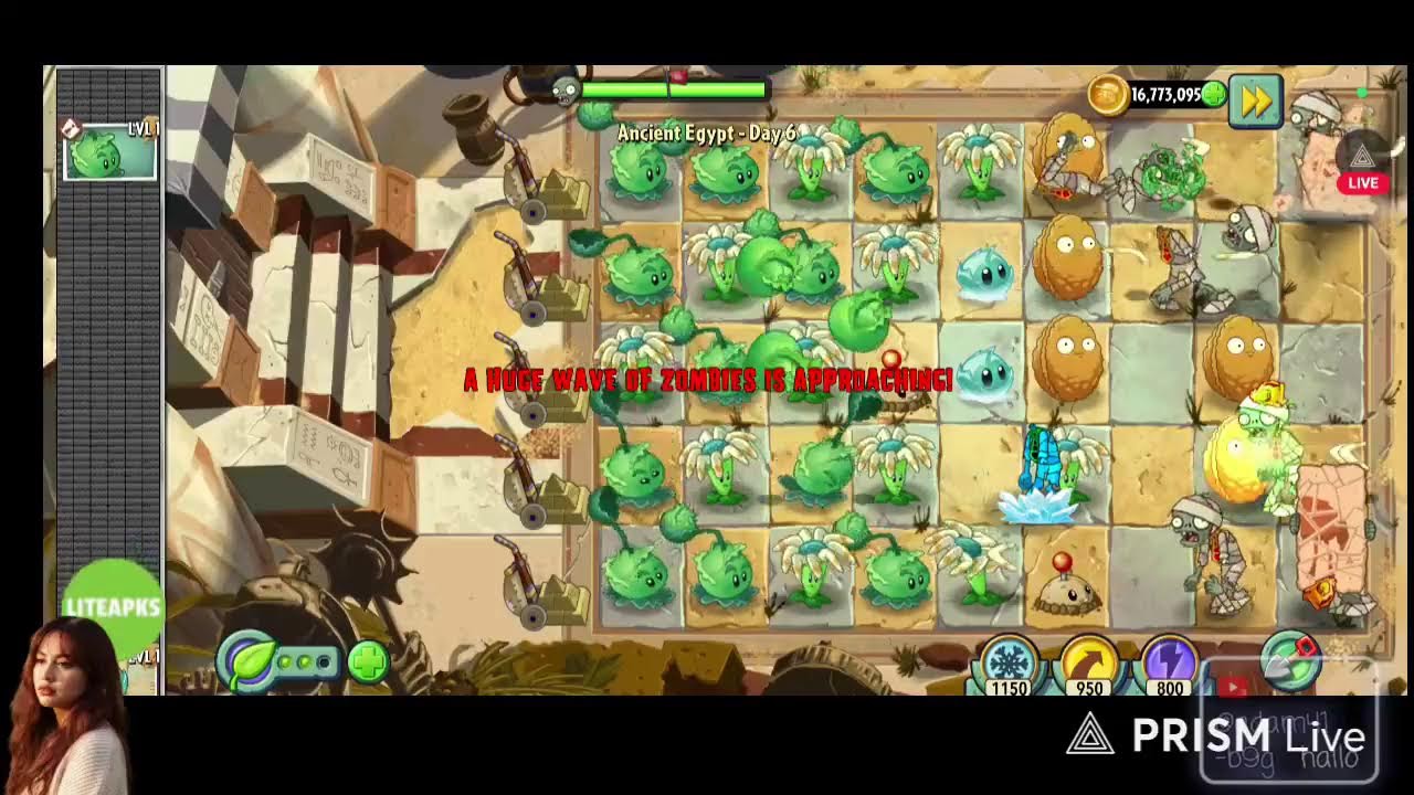 PLANTS VRS ZOMBIE 2