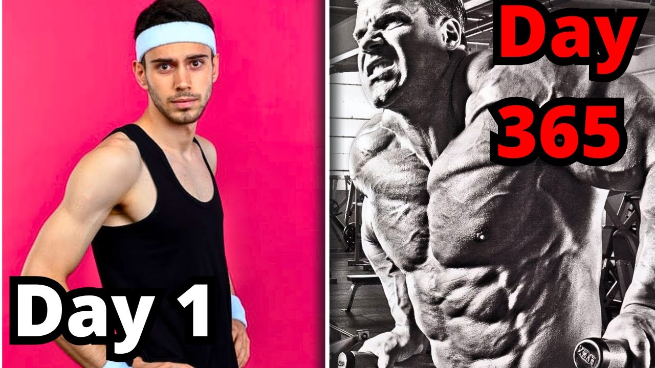 Your Body in the Gym: Month by Month (First 12 Months)