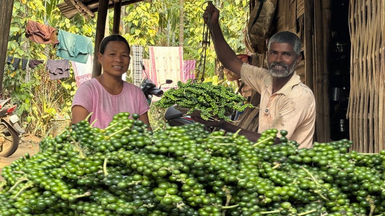 Black Pepper Helped Us A Lot | Village Life 😍