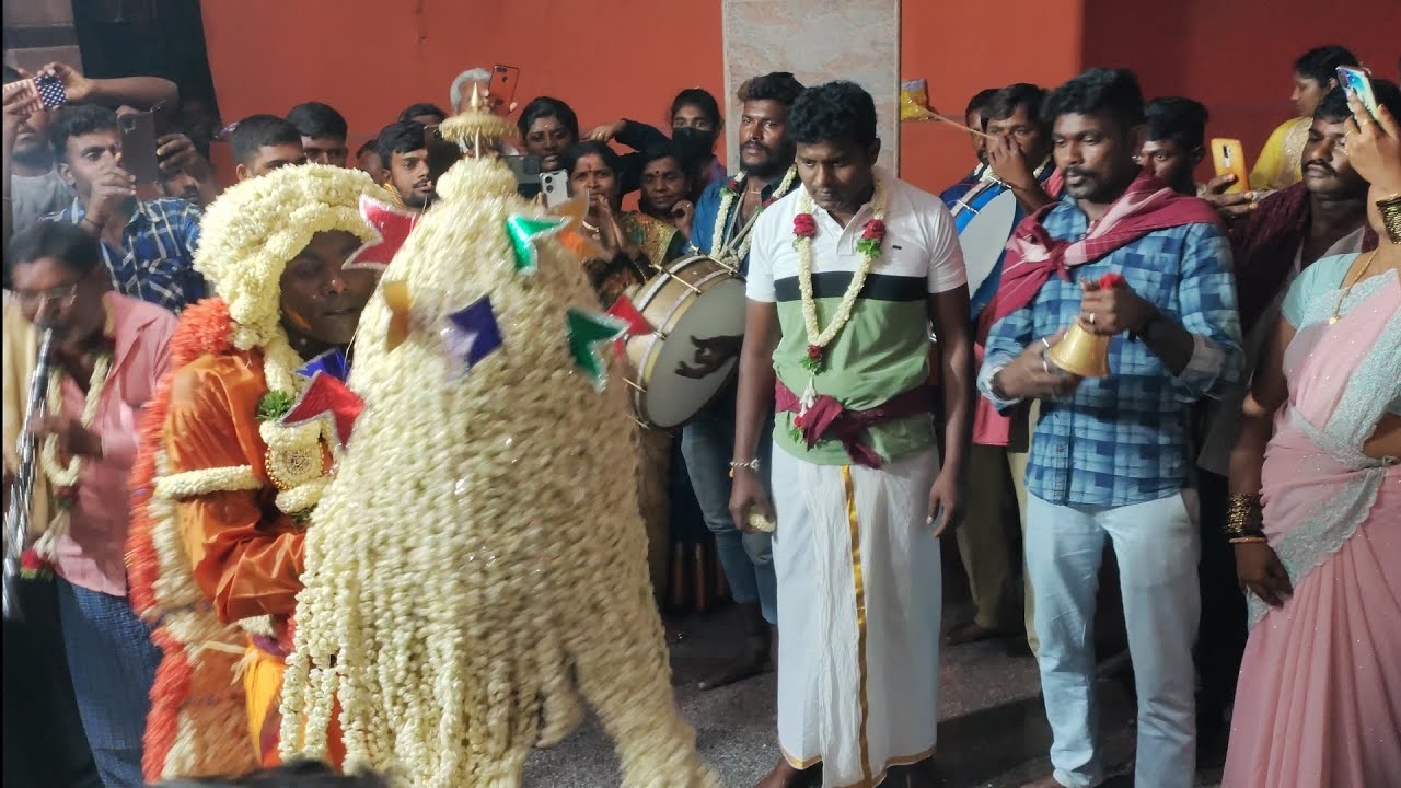 Huskur hasi karaga 2023