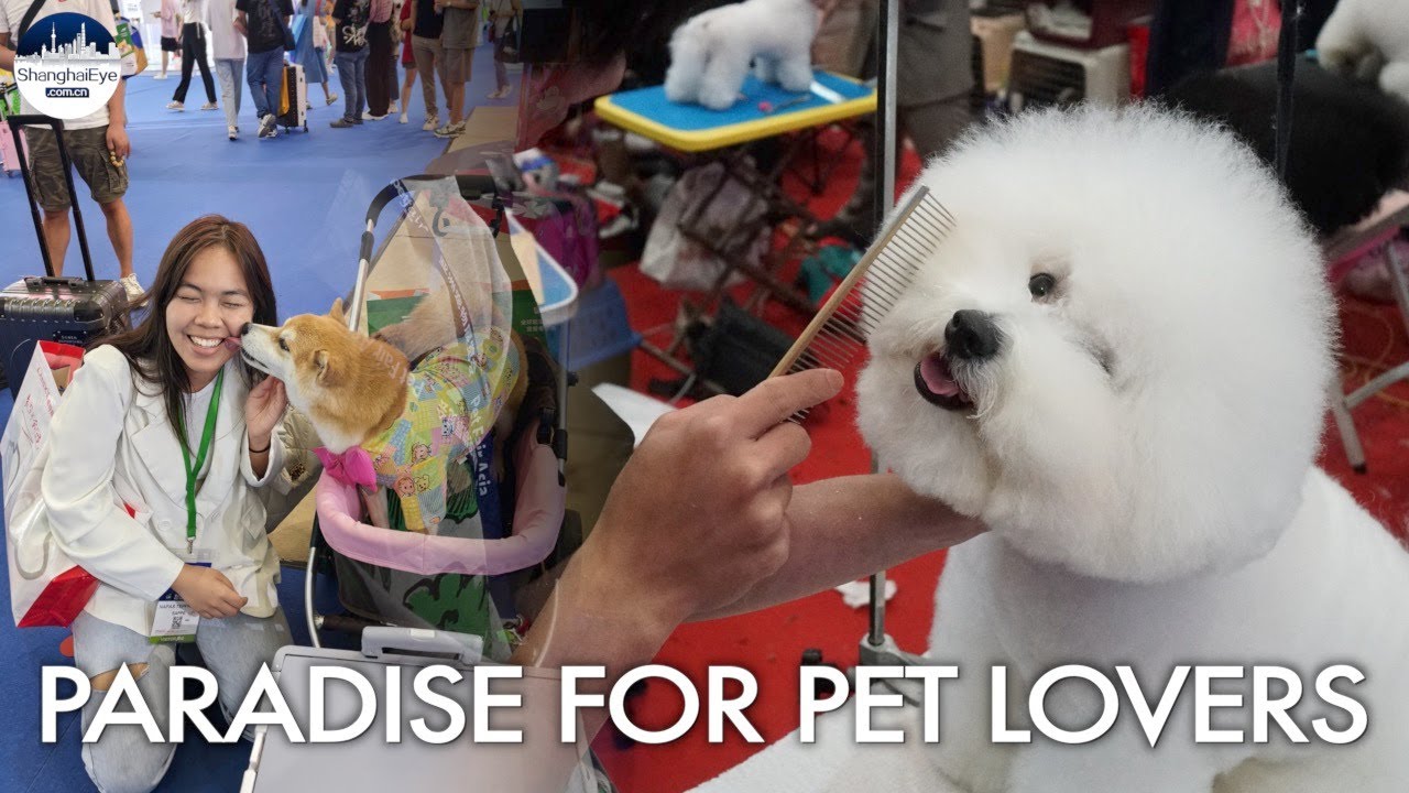 Asia's largest pet fair opens in Shanghai; fluffy industry grows larger in China