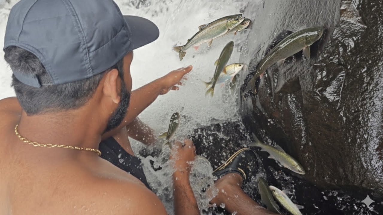 काळ्या कातळावर चढणारे मासे , पावसाळ्यानंतरची व्हाळातली मासेमारी | Traditional fishing @TejaGurav 