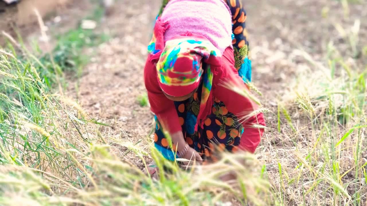 Uttarakhand diary - village - Darmola Rudraprayag ,, Part - 1 #Rajpicz