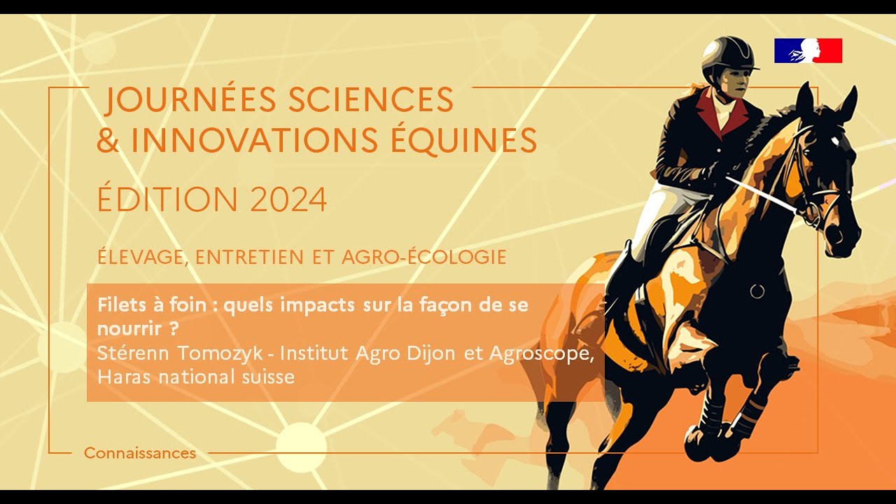 Filets à foin : quels impacts sur la façon de se nourrir ? - Stérenn Tomozyk