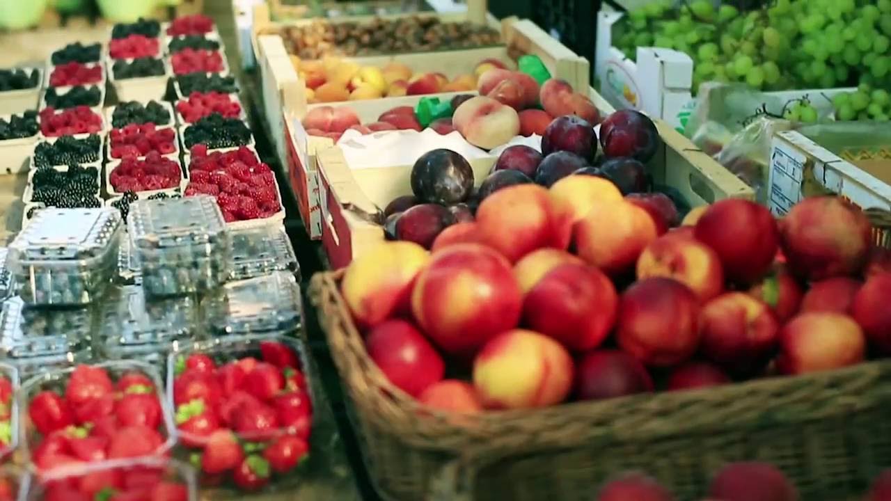 What is MyPlate? | FHCPtv