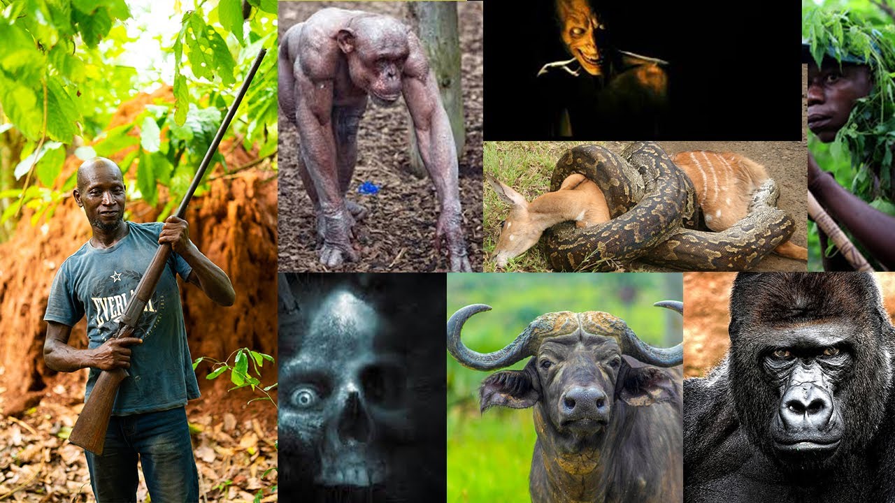 Eeii😓Unbelievable, One animal talked to me in the forest.I met a Witch and Sasabonsam.Hunter's story