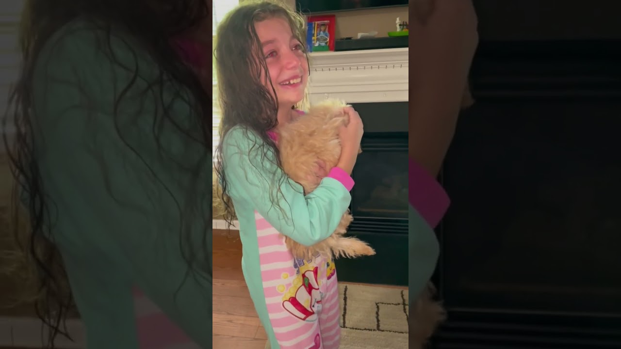 Happy Tears. Awesome video  a daughter received a puppy 🐶 from his awesome parents#dogsoftiktok #dog