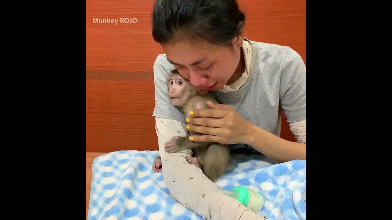 Come back home mommy was crying because seeing baby ROJO was sick and having a bad feeling