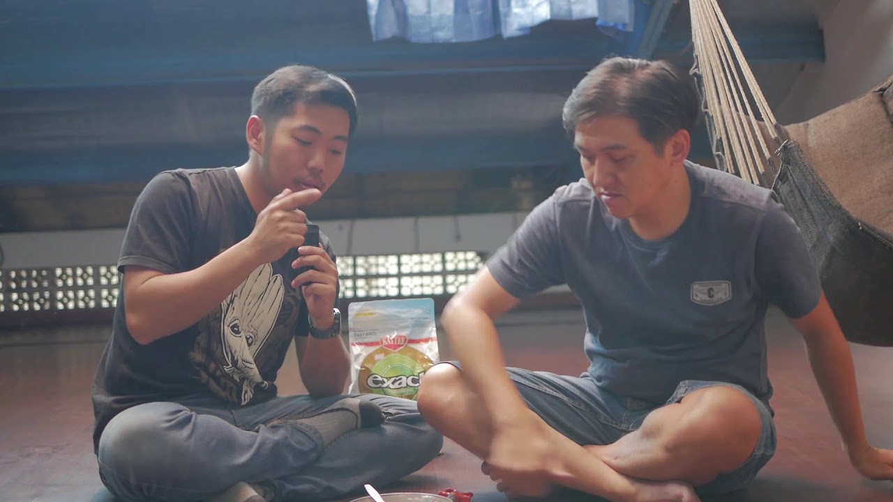 Cara meloloh anakan lovebird ratusan juta ala le's lovebird