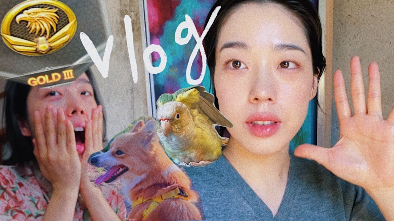 🌱223 Vlog I 서든어택 승급전 I 휴무 브이로그 I 카페 일상 I 초밥 I 여름뮤트 립 추천 I 김갈릭