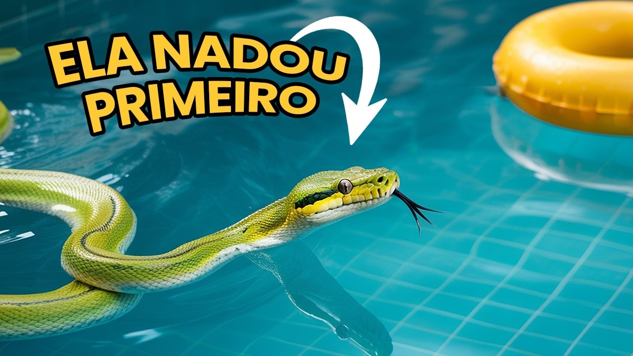 UMA COBRA NA MINHA PISCINA - ELA NADOU ANTES DE MIM