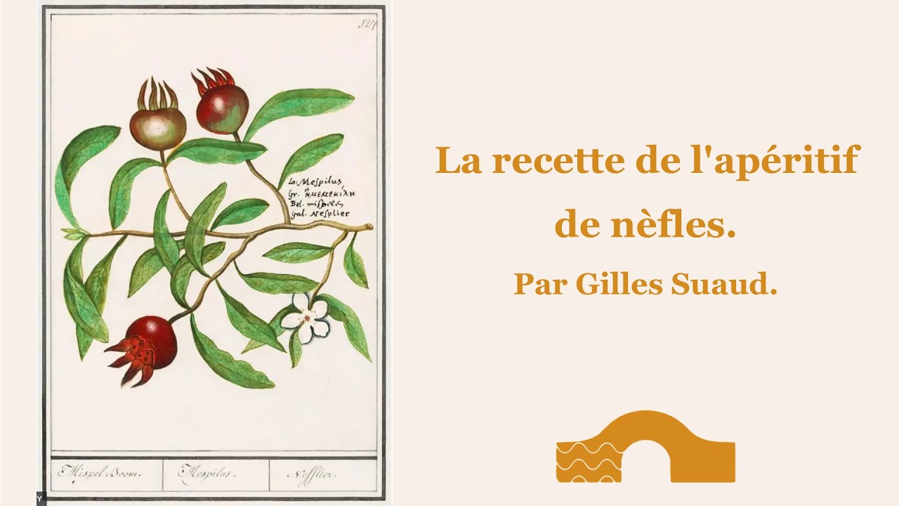 La recette de l'apéritif de nèfles.