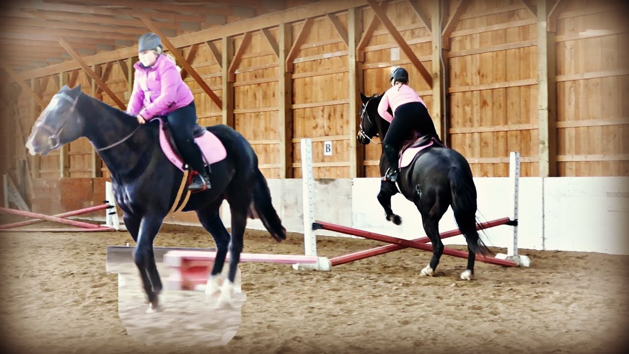 MOCK HORSE SHOW!