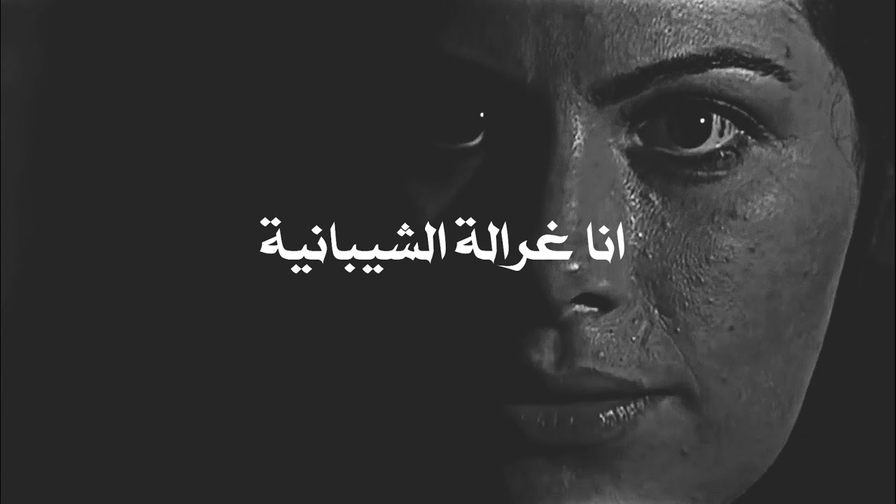 الخوارج في مواجهة الحجاج ||  حين وقفت غزالة الشيبانية بوجه الحجاج!