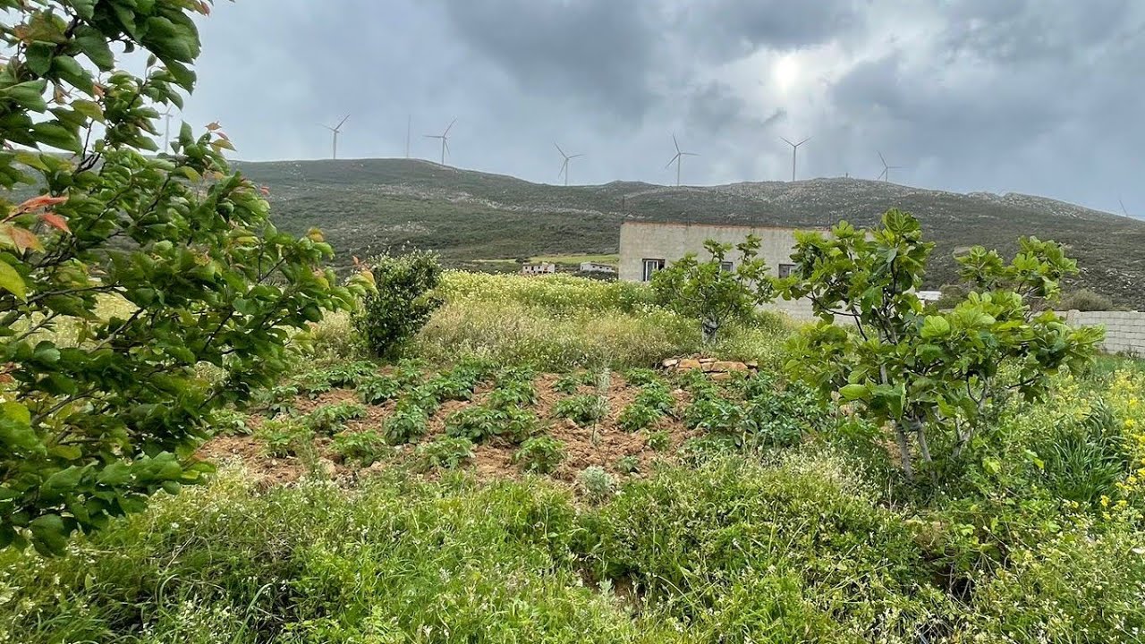 هميزة رائعة دار وغرسة وكراجات رائعين فالطبيعة 0703640826 القصر الصغير طنجة