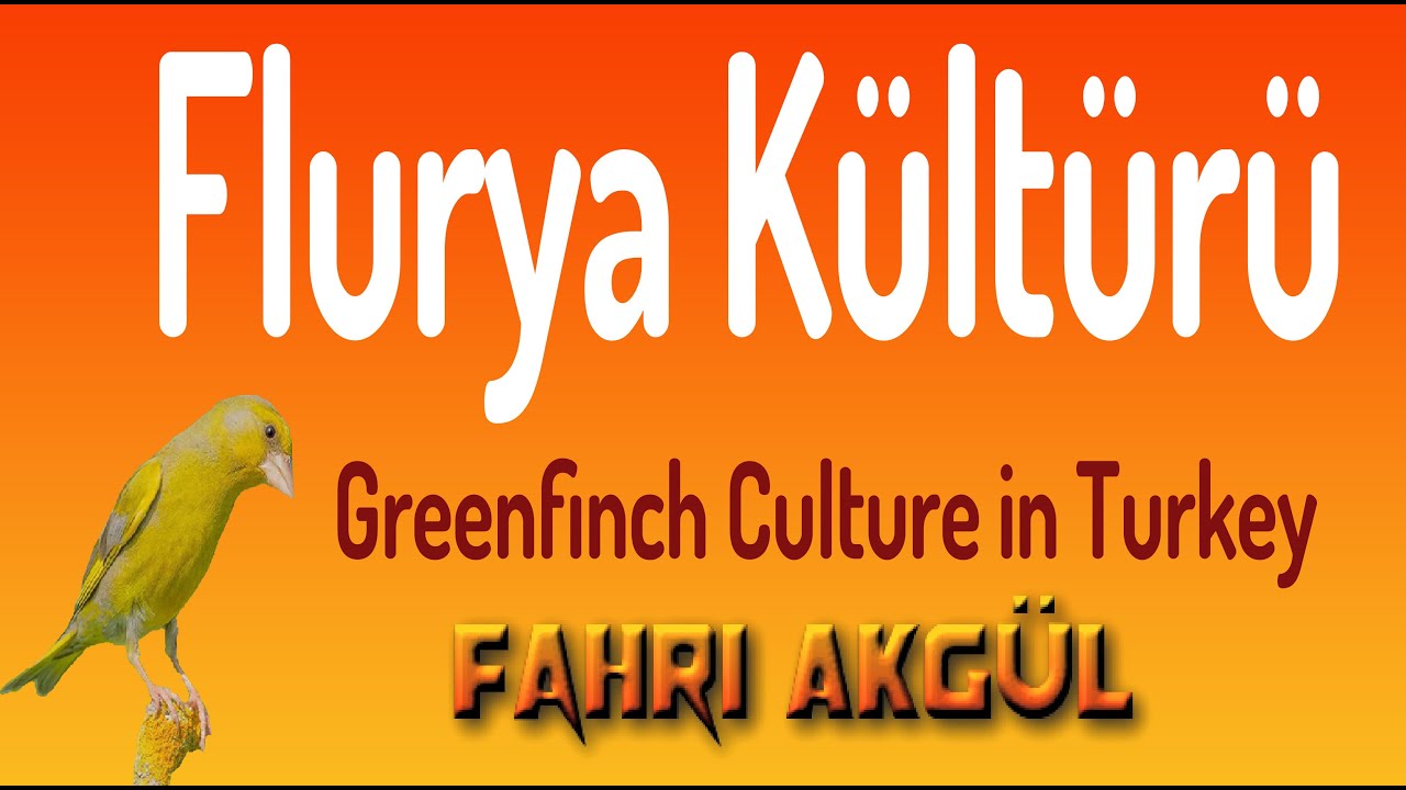 Flurya Kültürü 001 - İstanbul'un Kuşçuları