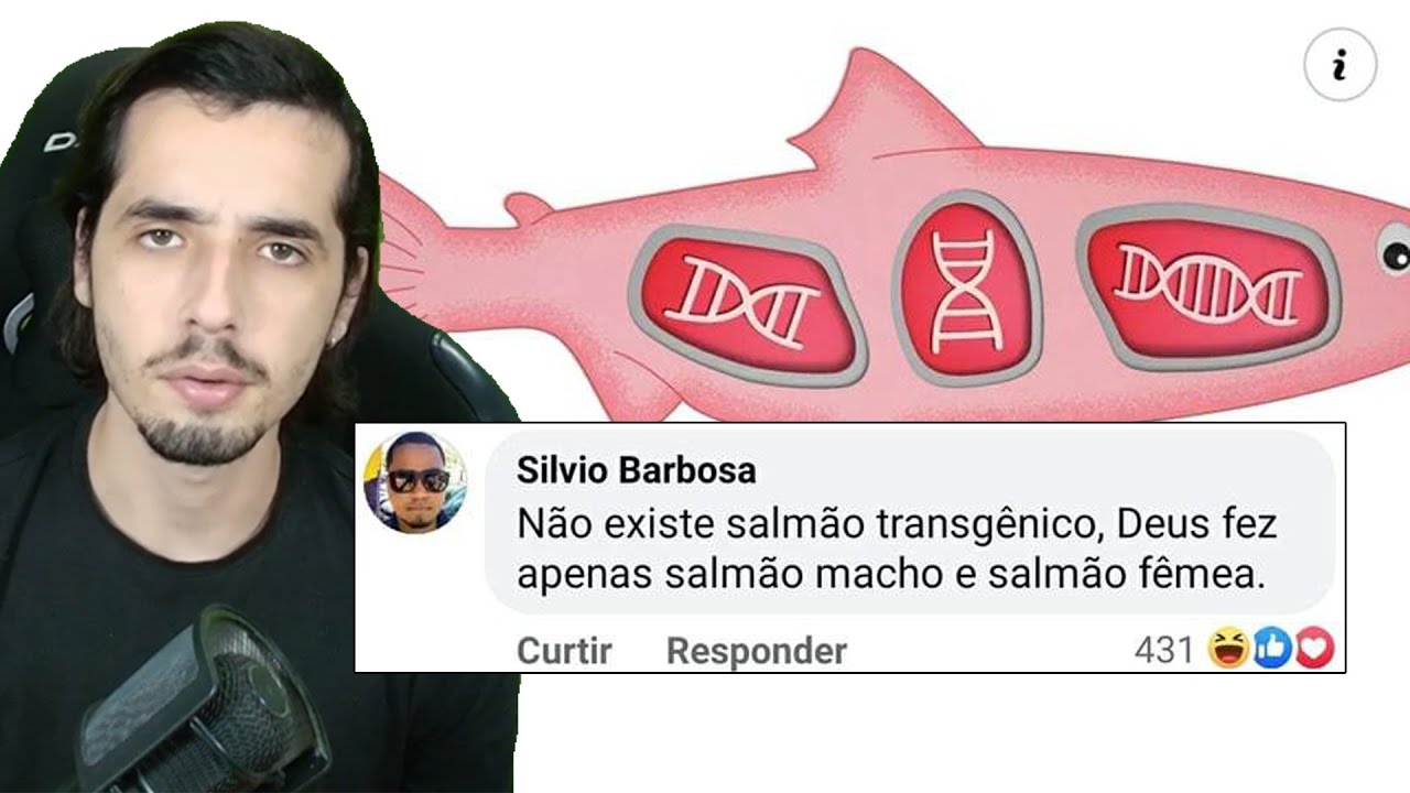 comentários bons (horriveis)