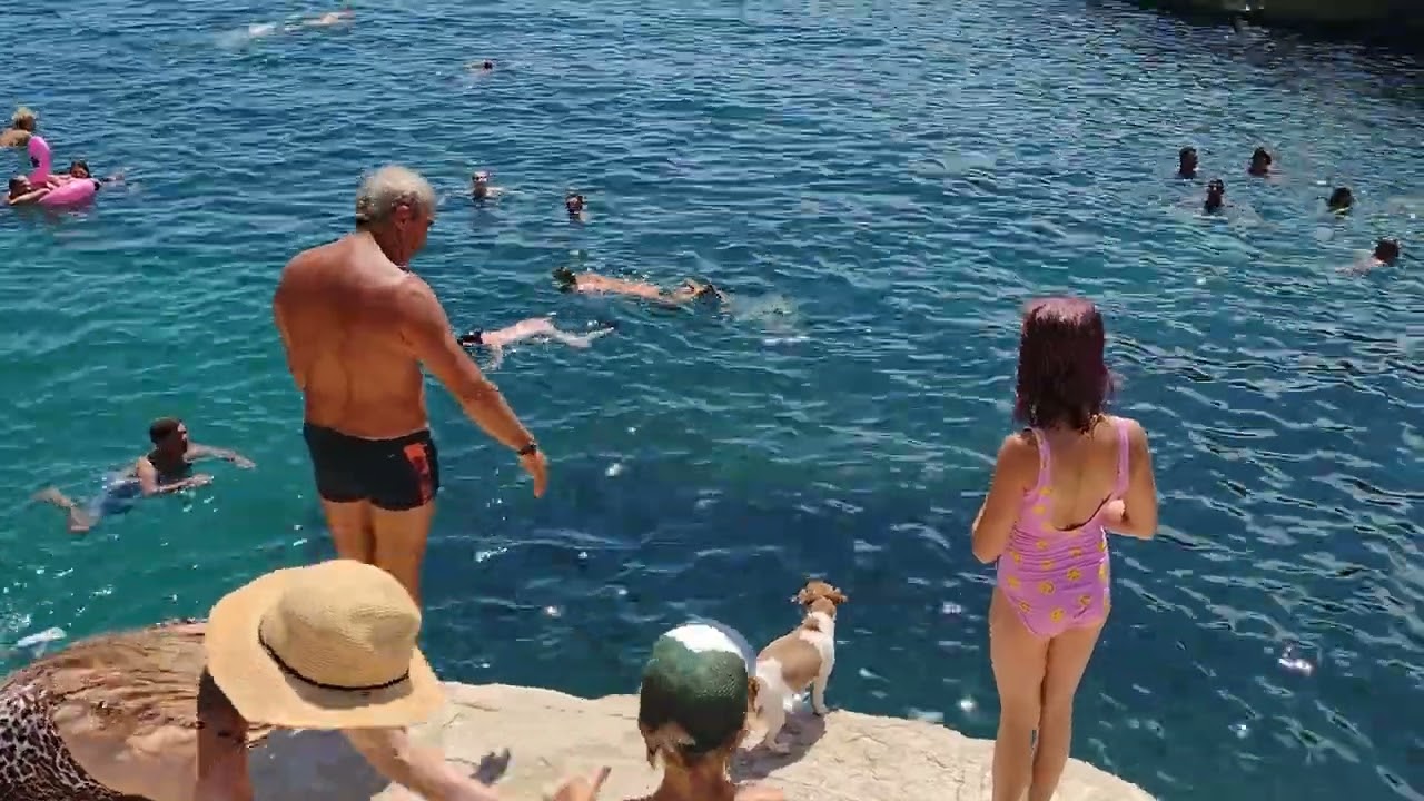 dog jumps at st peters pool - Malta