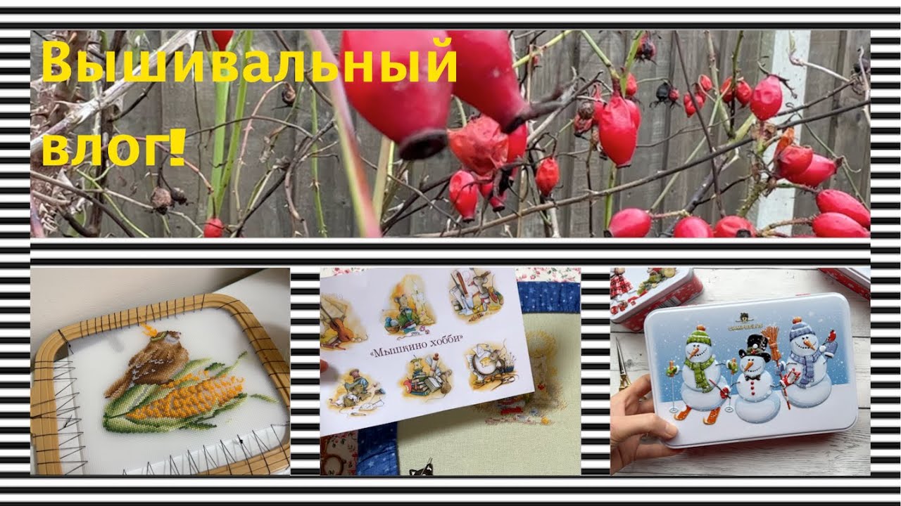 358. Финишы и продвижения, бомбит от книги!