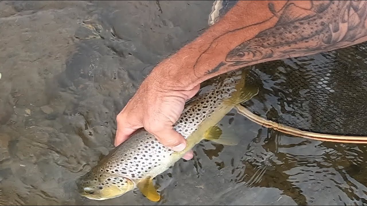 A Summer Day Fly-Fishing with Mr. Dave Rothrock, 
