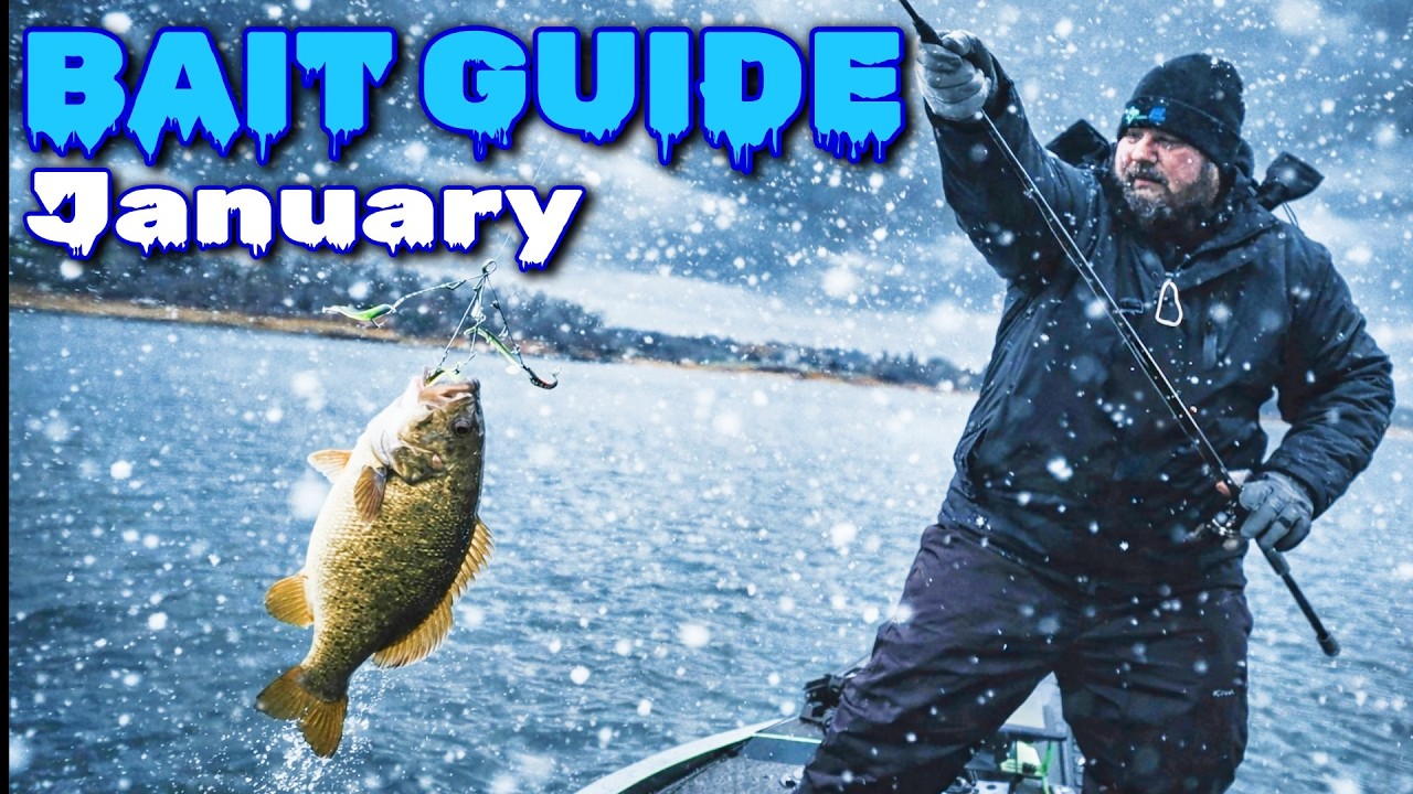 5 приманок, которые изменят январскую рыбалку на окуня.