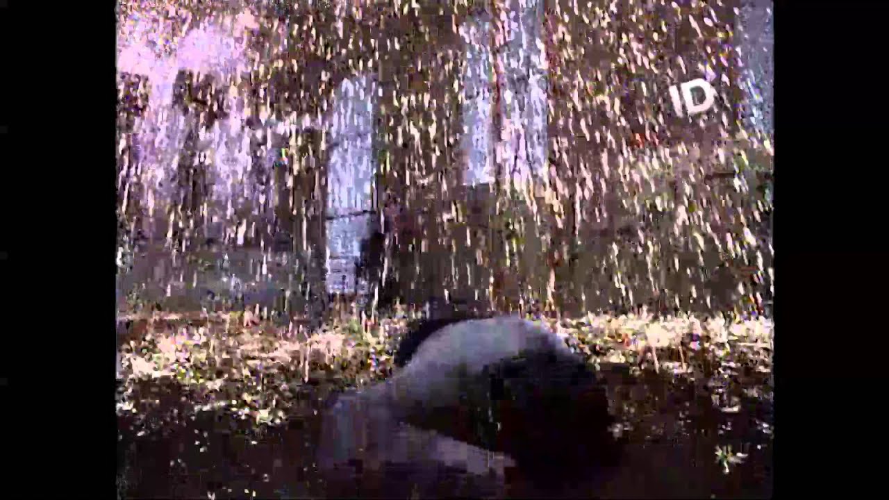 Jet Li-The One