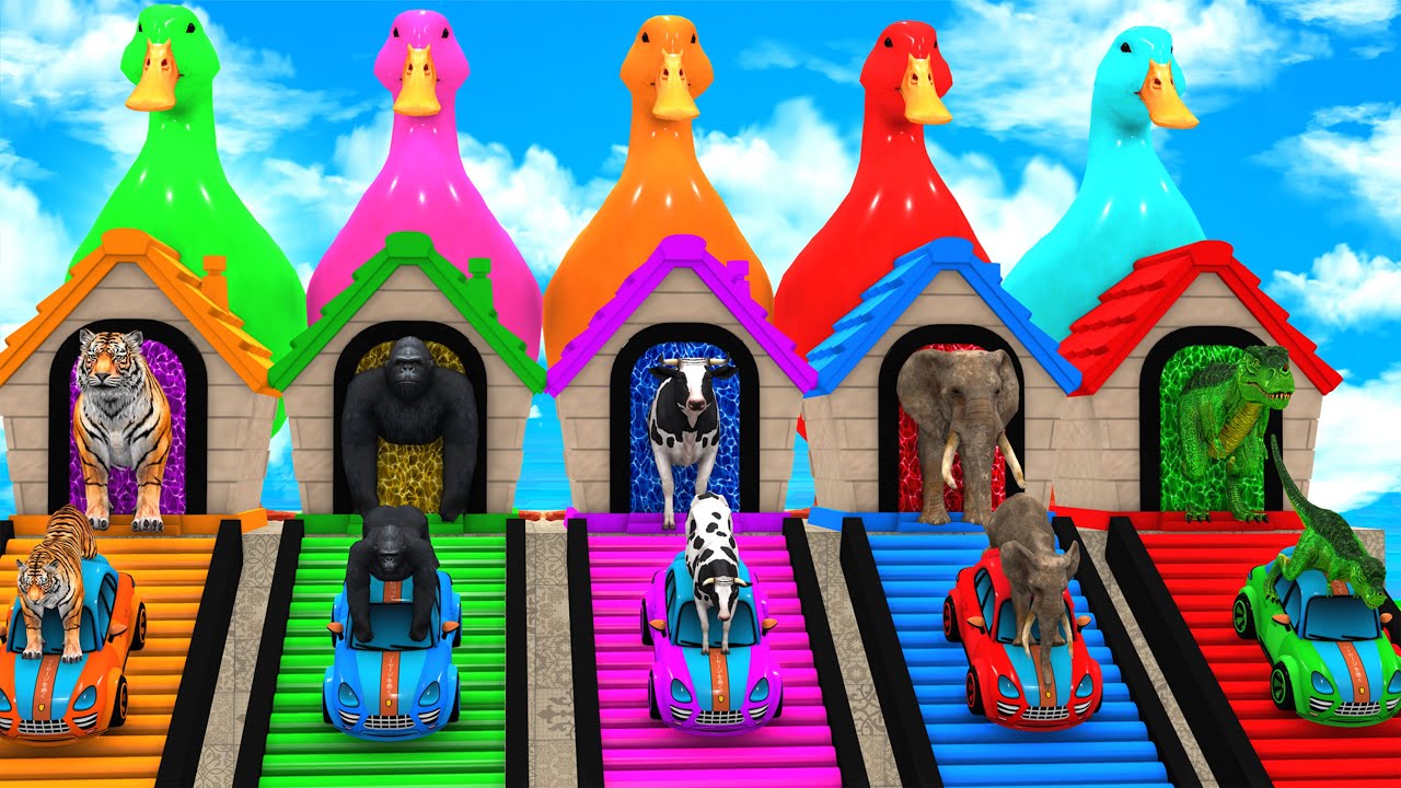 Wild Animals Long Slide Adventure 🐘🦍🐯 | Funny 3D Game