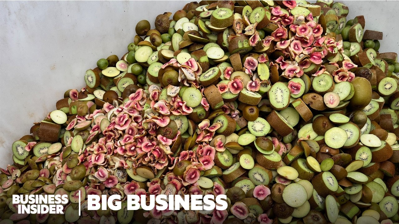 How Kiwis Are Bred To Perfection In New Zealand | Big Business | Business Insider