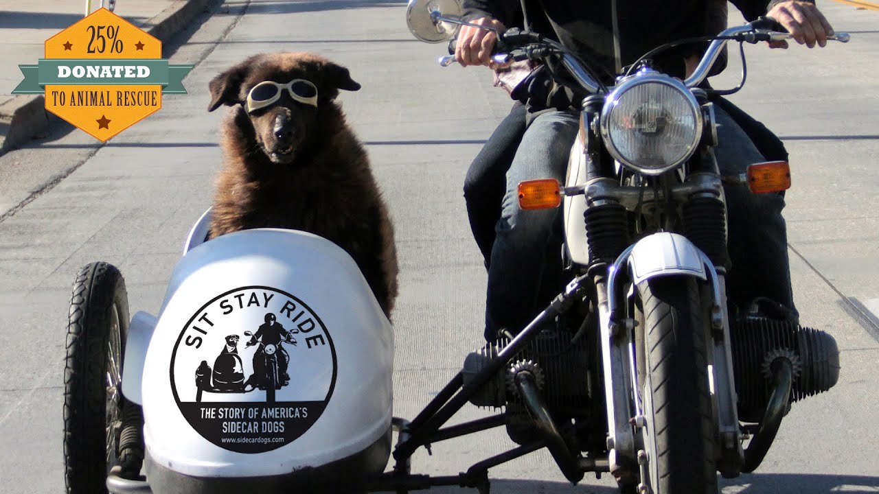 Sit Stay Ride: The Story of America's Sidecar Dogs - Official Trailer
