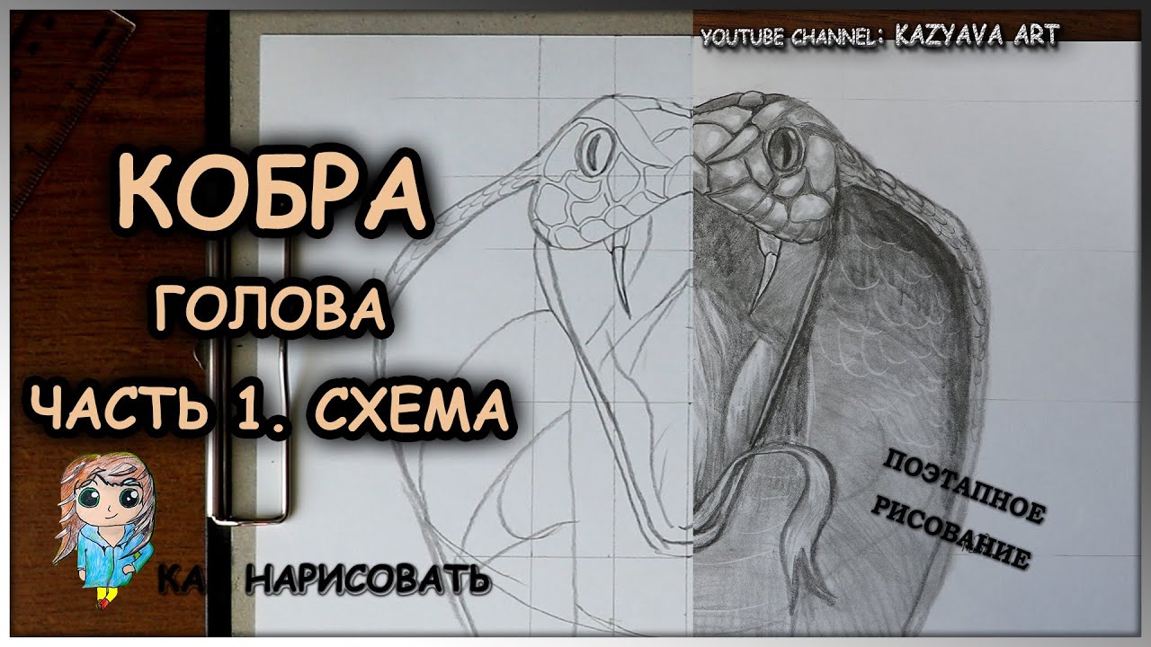 Как нарисовать голову КОБРЫ карандашом. Поэтапное рисование. Часть 1. Построение головы