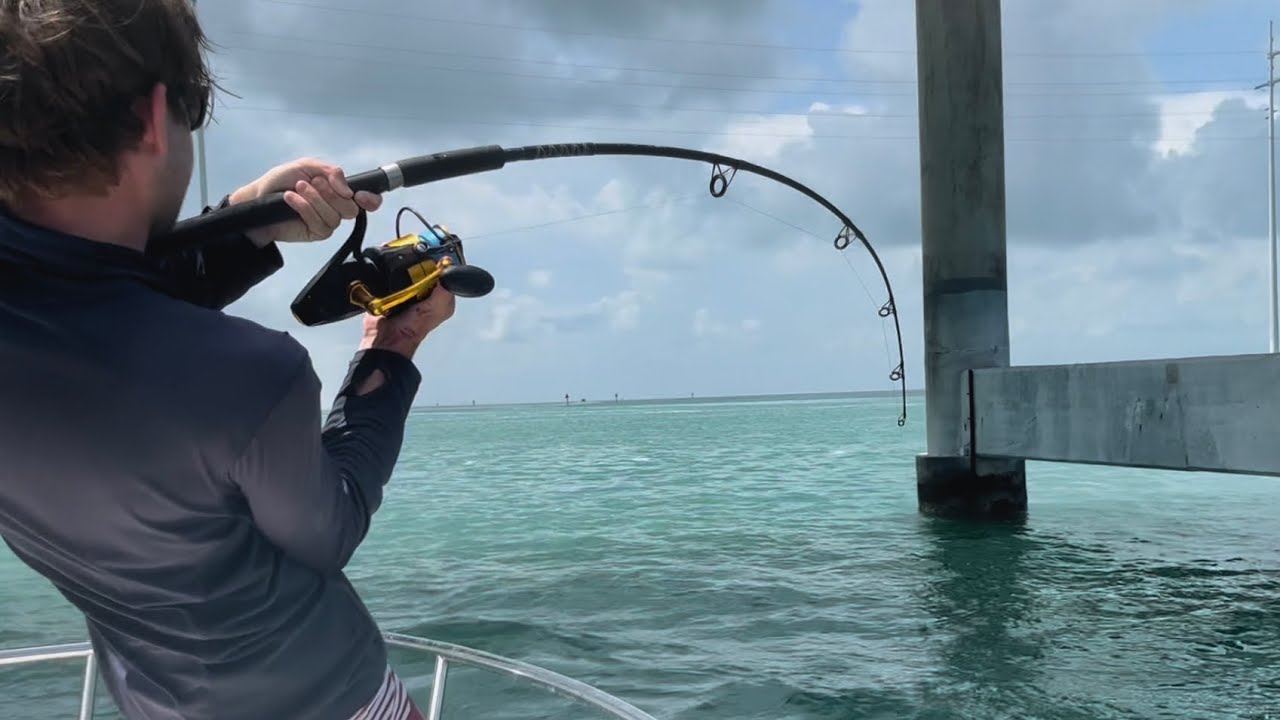 Fishing for BIG Goliath Groupers in Florida Keys Bridges