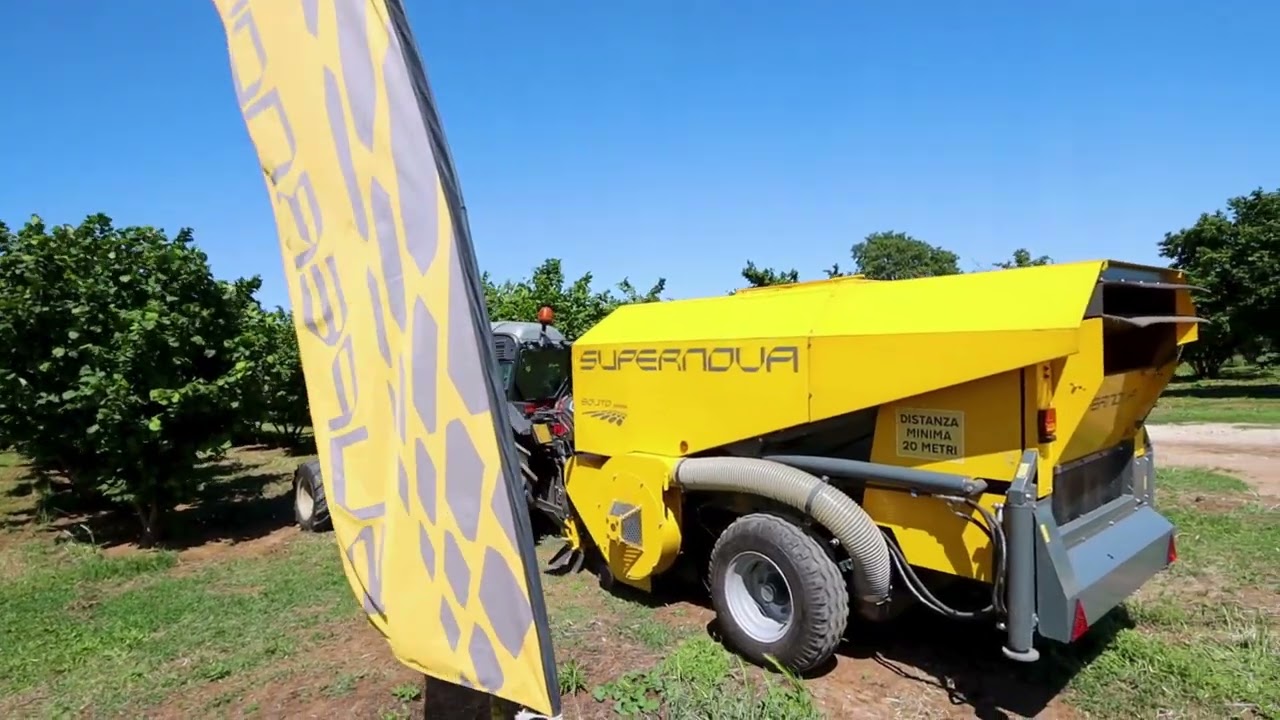 Souto Mechanical Harvesting