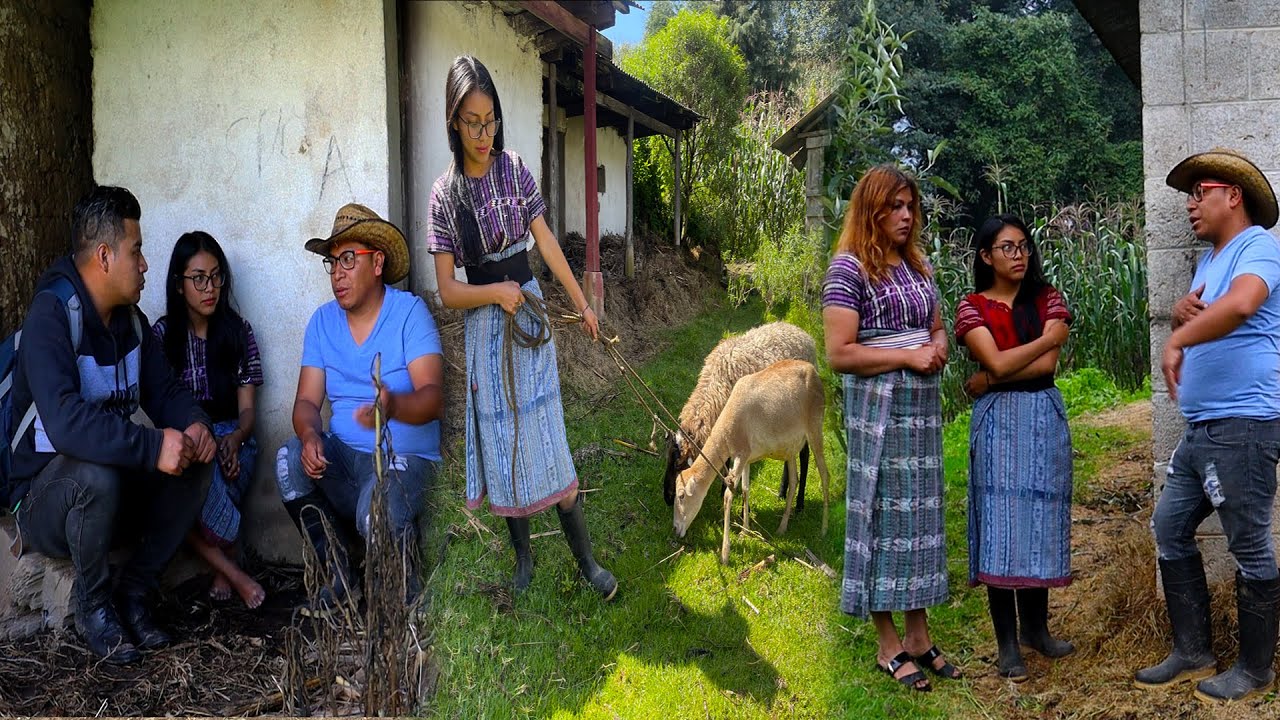 Suegra odiaba y humillaba a su nuera embarazada y paso esto REFLEXION