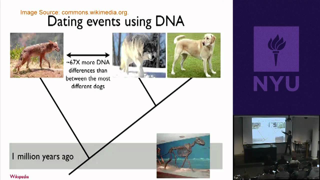 Natural Science II: Genomes and Diversity - Animal Genomics & Origin of Domestic Dogs