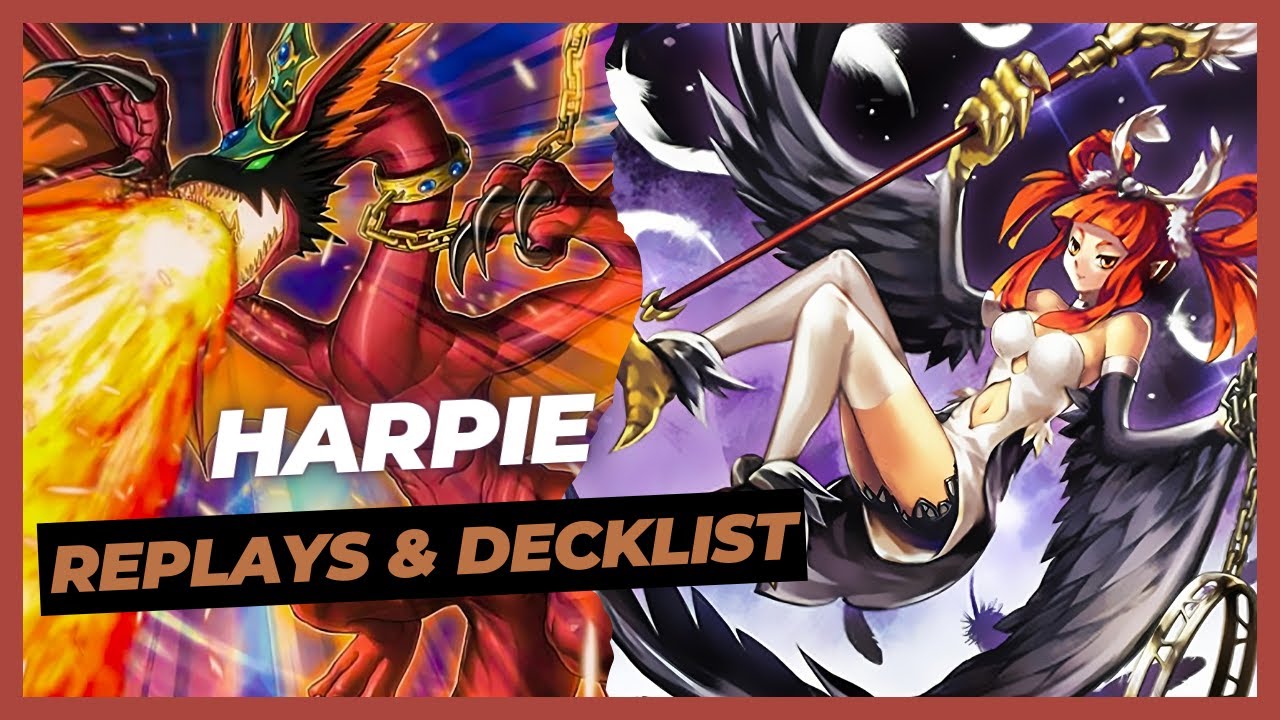 Harpie (Pure) | EDOPRO Replays & Decklist