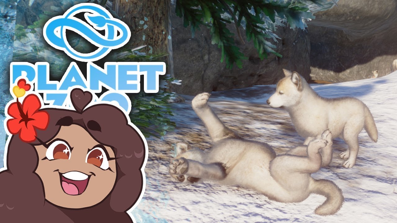 Carving into ICY Wolf Caves!! 🐏 Planet Zoo: Ice Ice Outpost • #31