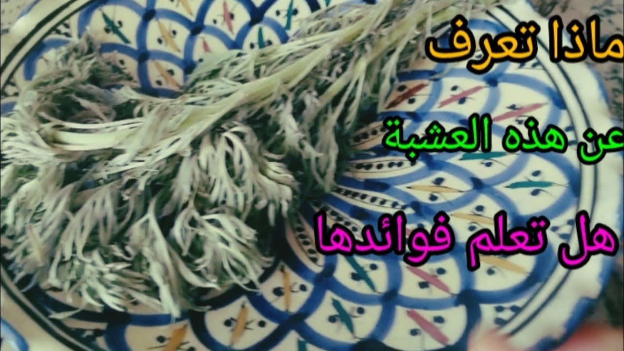اذا ما كنتيش كتعرف القيمه ديالها ادخل عندي ونعطيك الفوائد اللي في هذه العشبه هذه