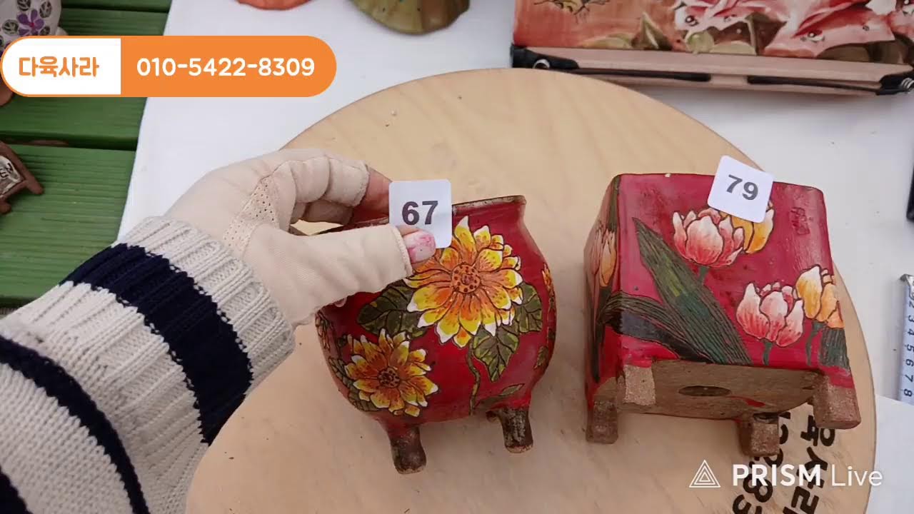 다육사라 이상하고 요상한 세계로 오세요~♡