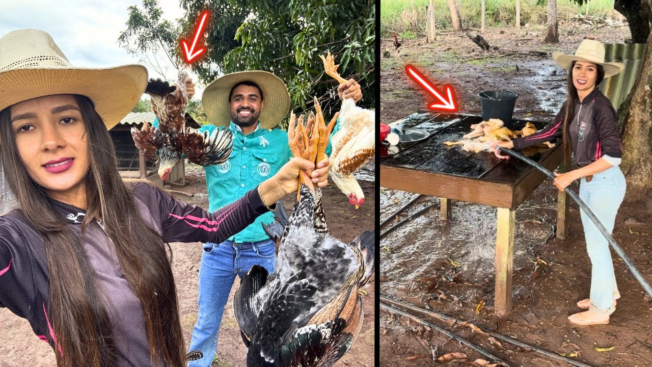 A RAPOSA QUASE ACABOU COM TUDO! TIVEMOS QUE ABATER NOSSOS FRANGOS 😱