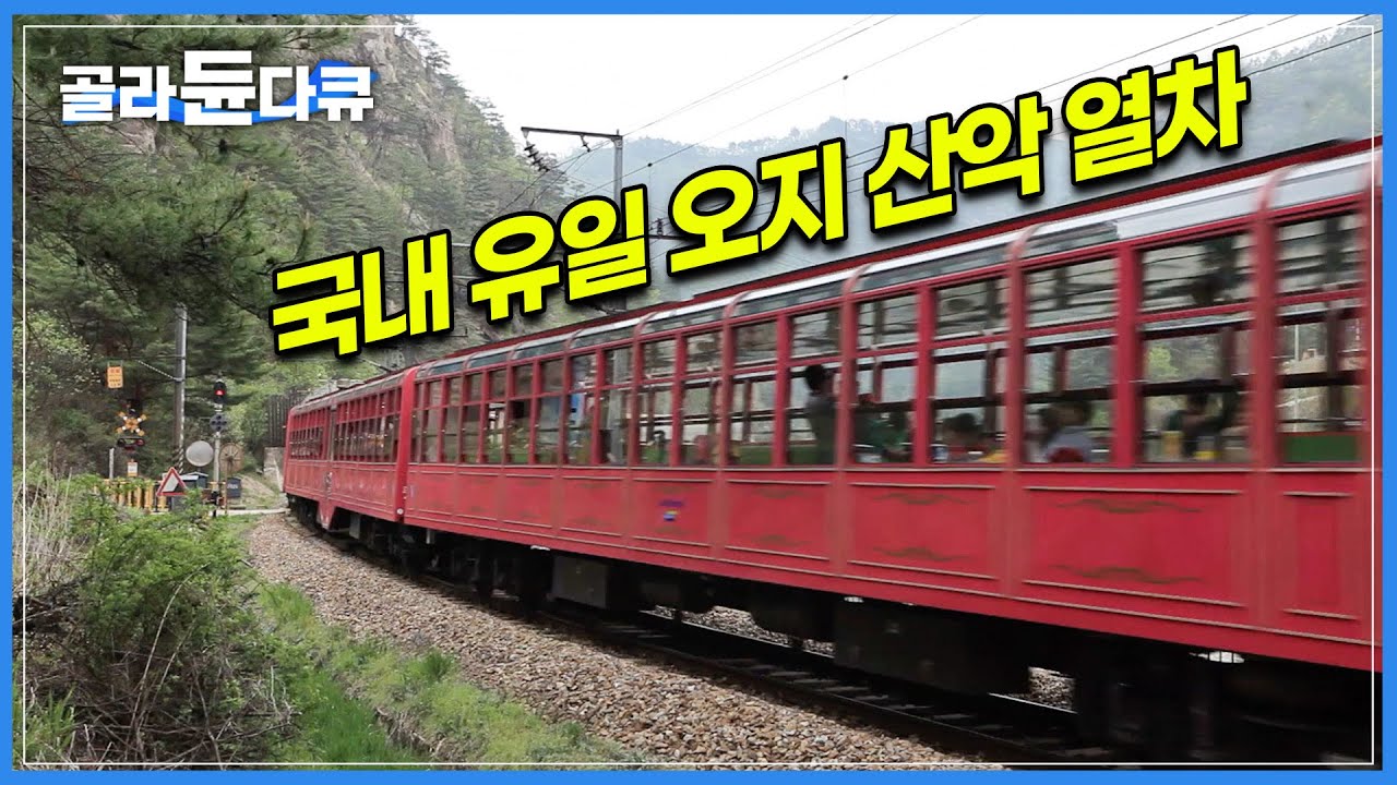 이렇게 아름다운 우리나라 산간, 본 적 없으실겁니다 | 국내판 스위스 열차라고 불리는 ‘백두대간협곡열차’ | 한국기행 | #골라듄다큐