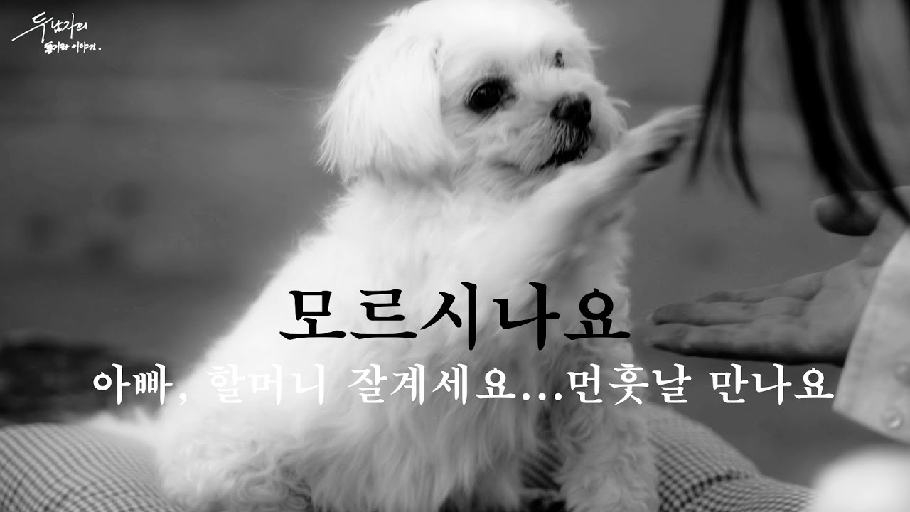 배재혁 모르시나요 2026콘서트