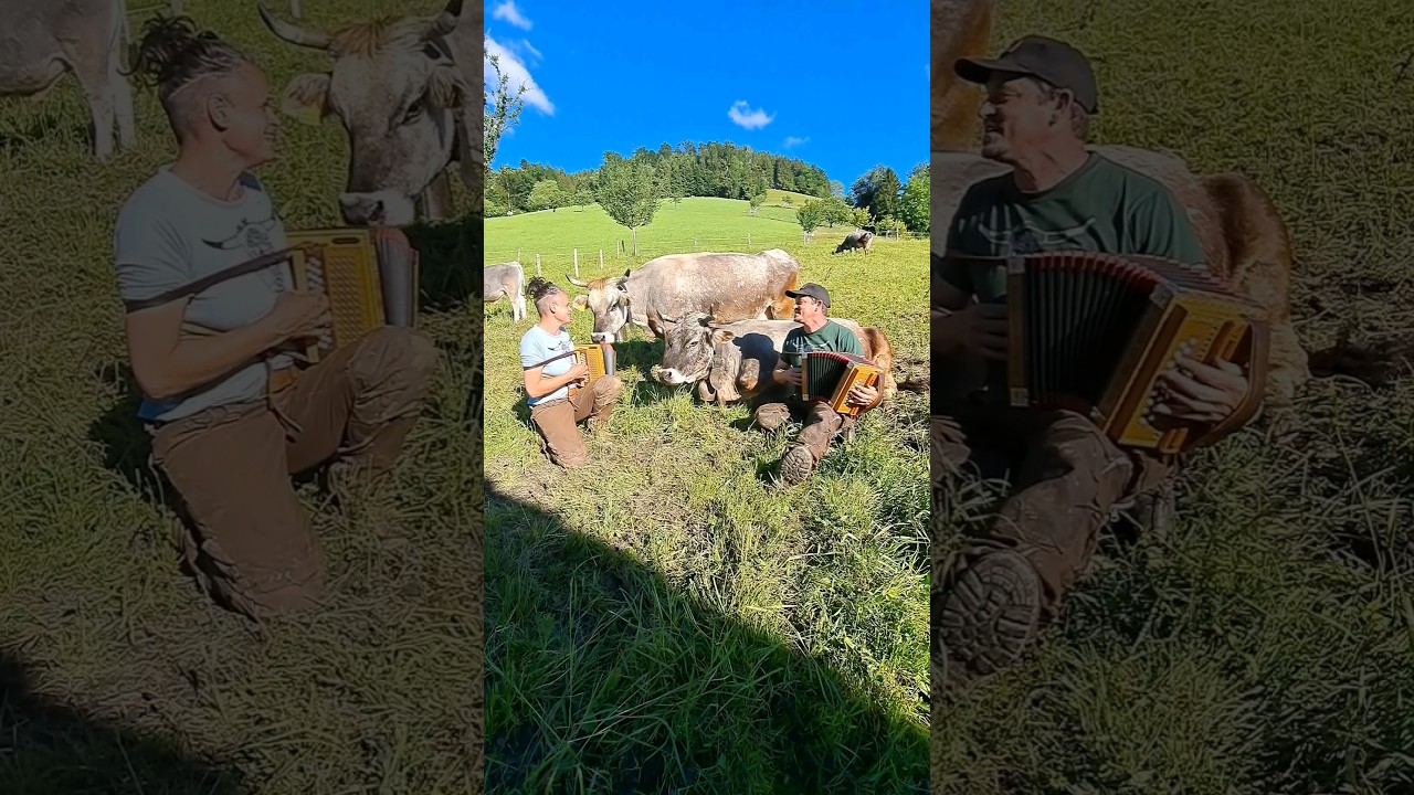 s'Choch&auml; - Dini Seel chli la bamb&auml;l&auml; la 🇨🇭 #switzerland #schwyzer&ouml;rgeli #folk #music