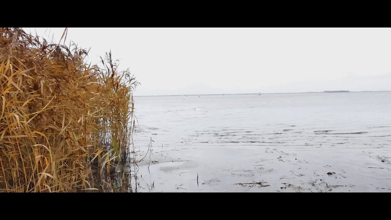 Speedsurfing Strand Horst - 7.0 Duotone Warp 2019