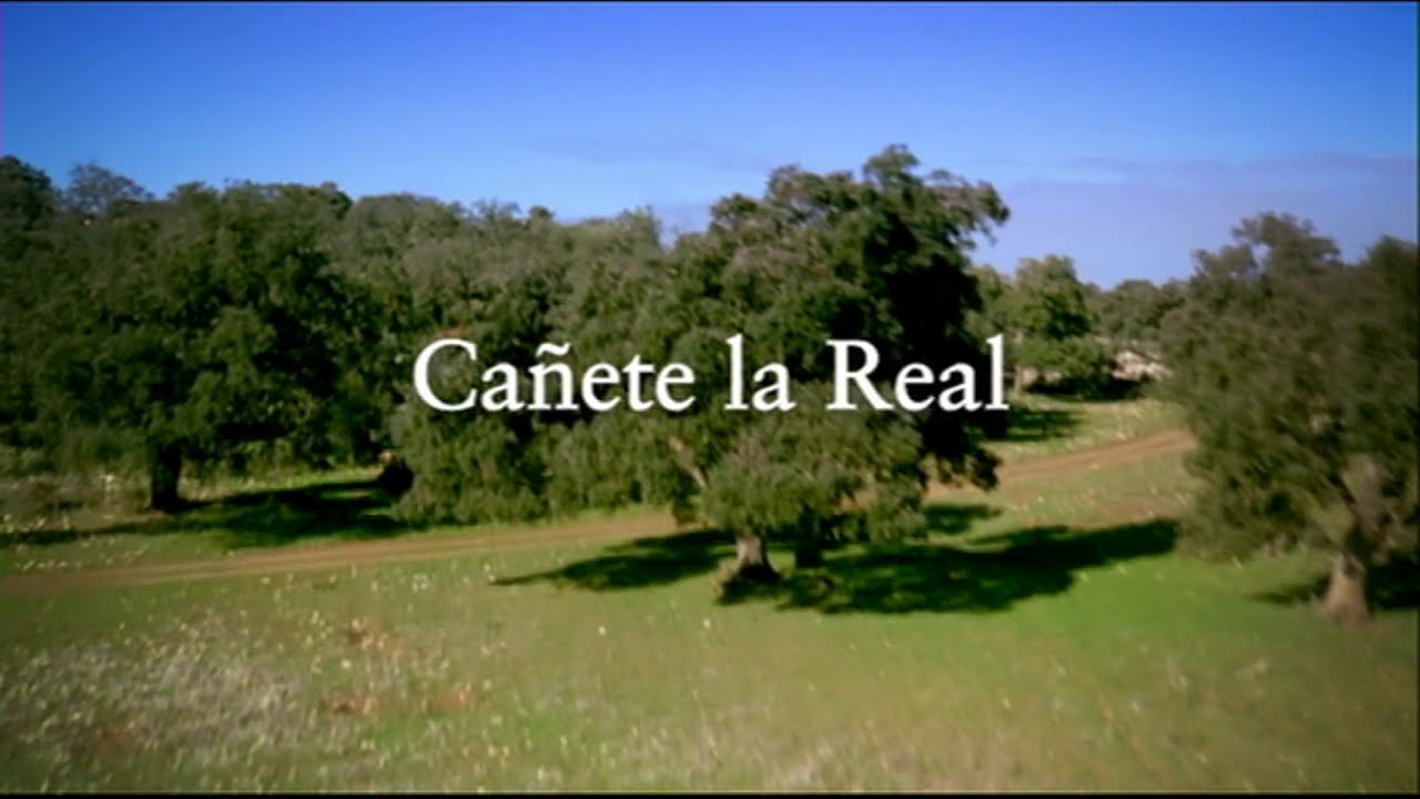 CA&Ntilde;ETE LA REAL. ANDALUCIA ES DE CINE   vol 3    5
