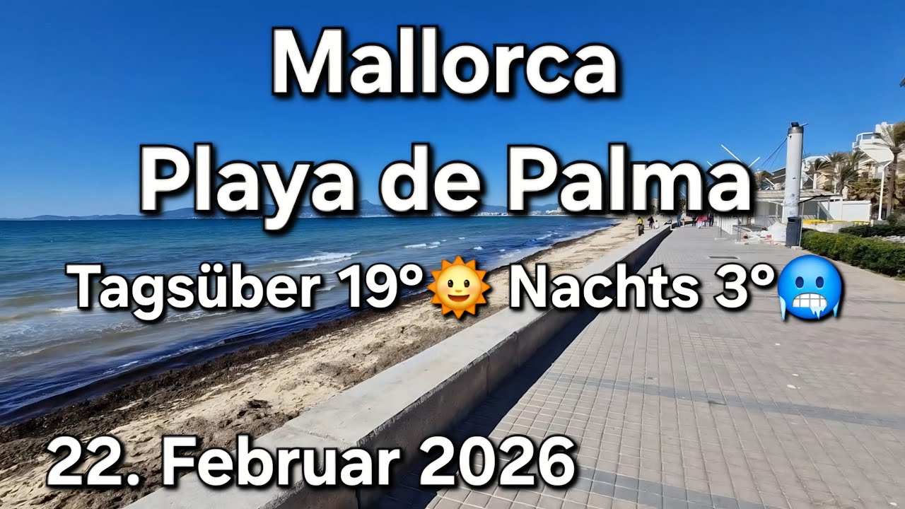 🌴Playa de Palma Kompakt - 🥳Tag & Nacht am Ballermann |&hearts;️Mallorca VLOG 22. Februar 2026