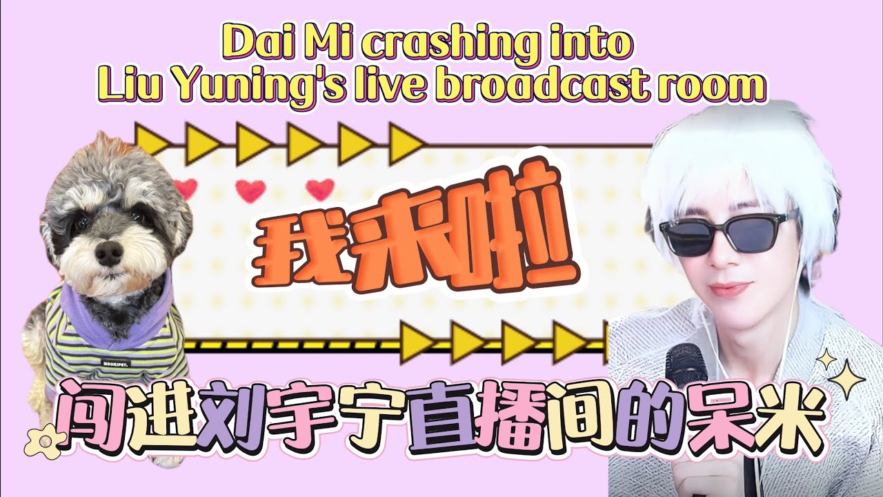 闯进 #刘宇宁 直播间的呆米 Dai Mi crashing into #liuyuning ‘s live broadcast room