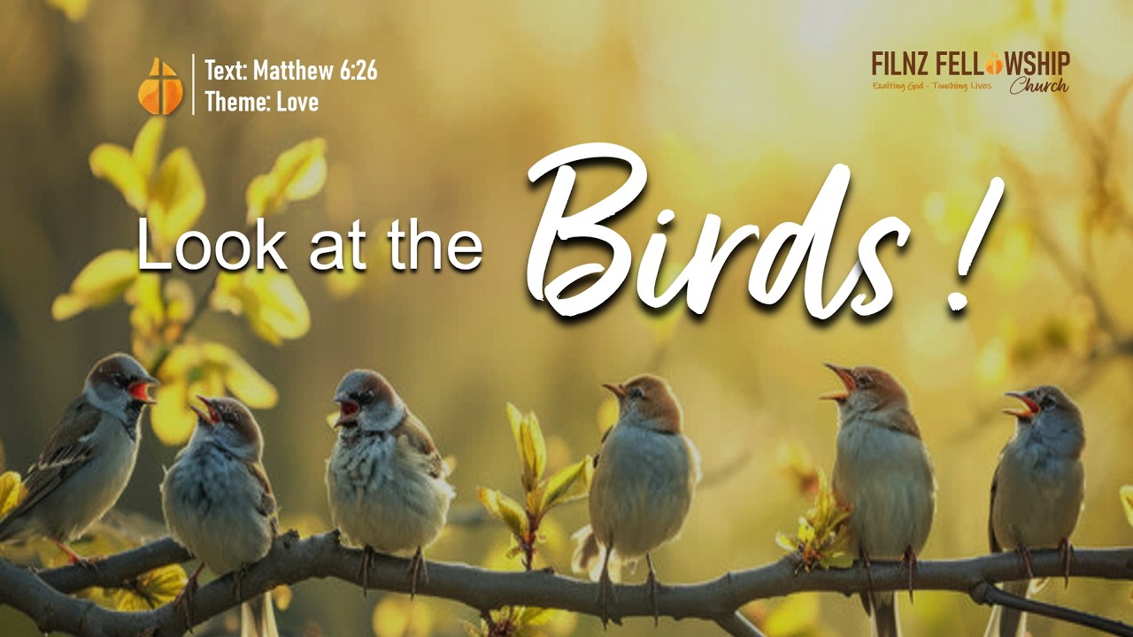 Look At The Birds | Full Preaching 15-02-26