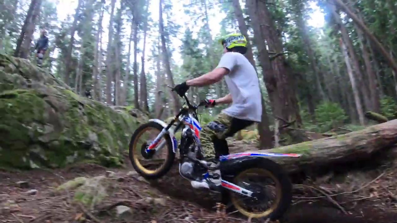 Back In BC / King's First Ride On The Beta 4T
