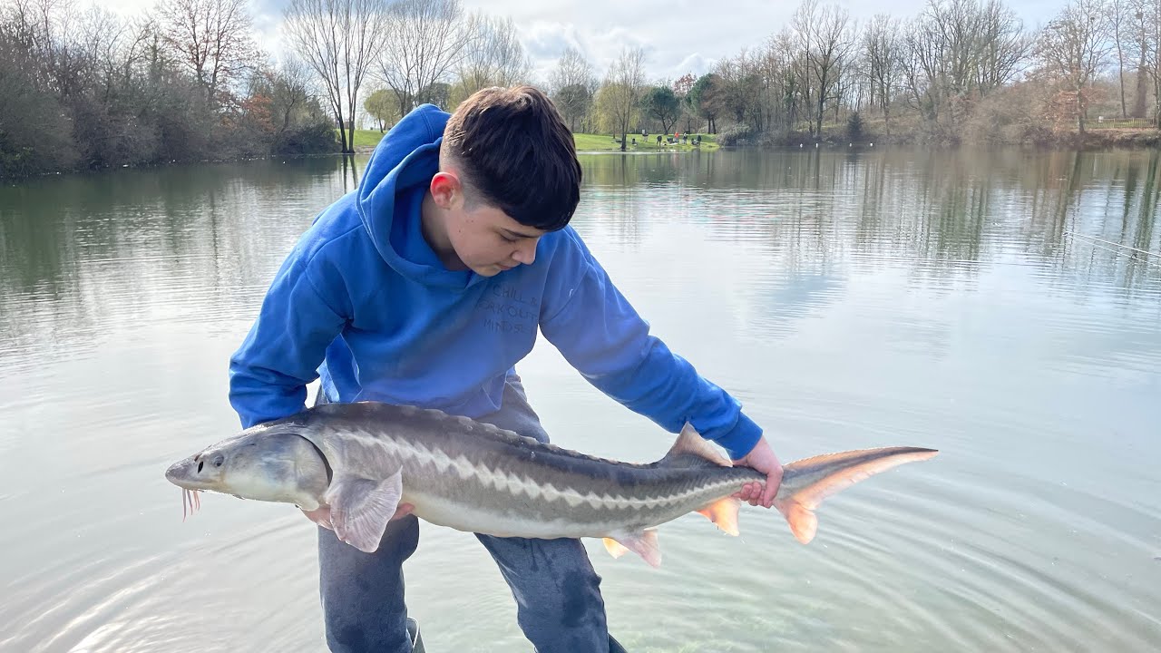 Premiers esturgeons et beaucoup d’autres poissons !